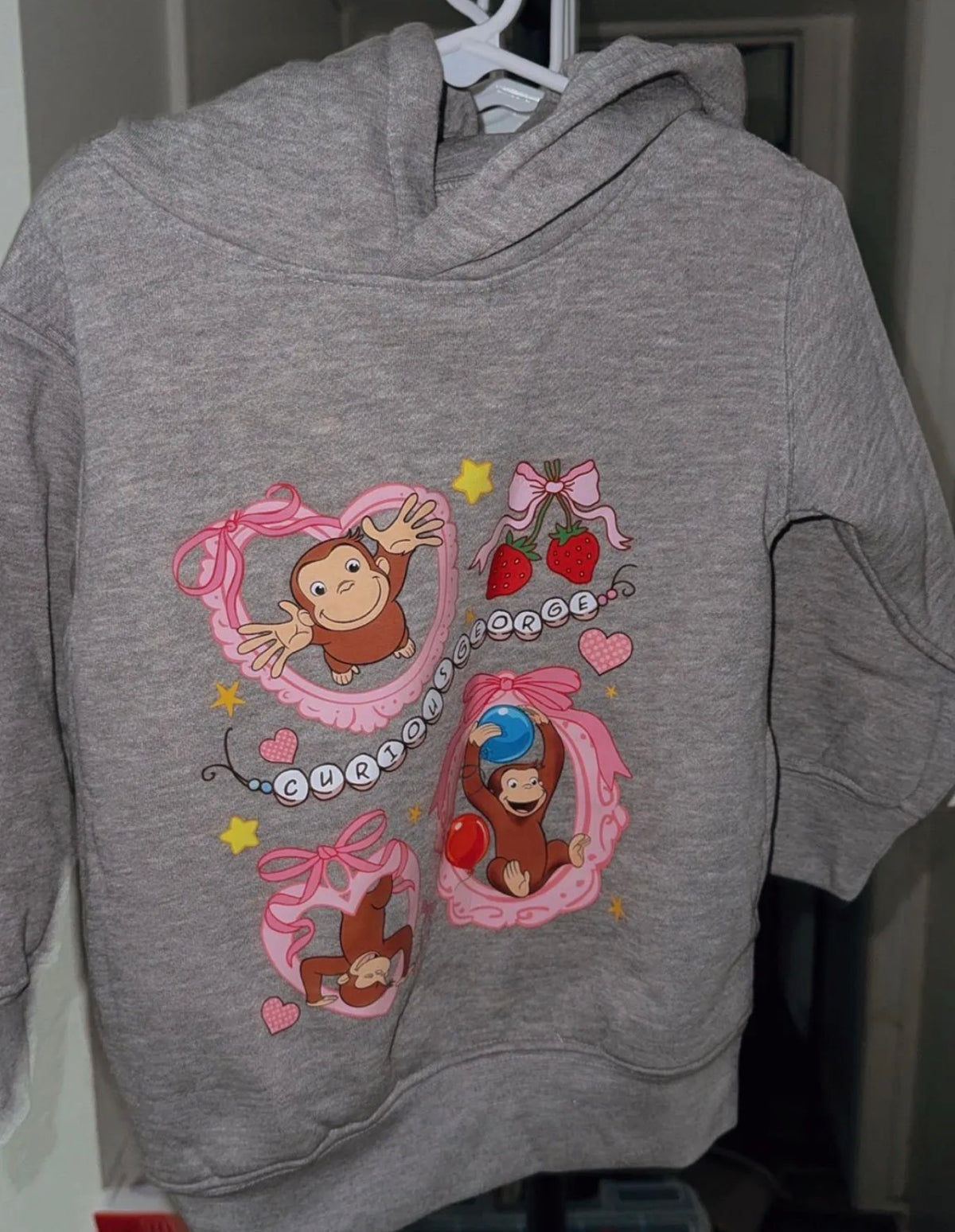 2T hoodie monkey